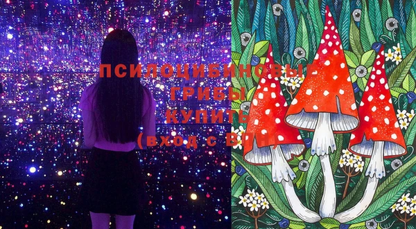 мдпв Вязники