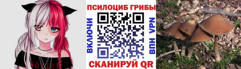 Псилоцибиновые грибы Psilocybine cubensis  наркотики  Новочебоксарск 